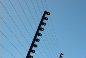 Electric fence posts and strands newly installed along a boundary line